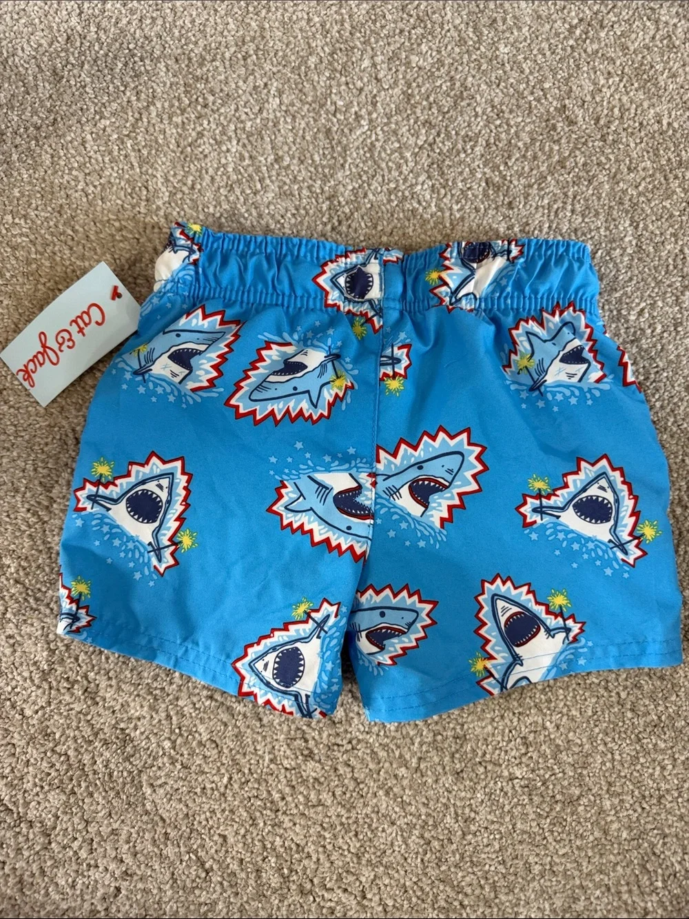 NWT Boys Blue Shark Print Swim Shorts with Lining size 2T